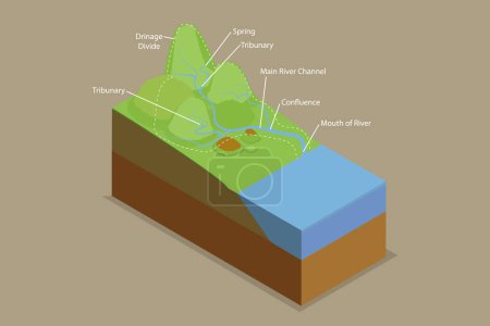 Ilustración de Ilustración conceptual del vector plano isométrico 3D de las cuencas de drenaje, sistema de la cuenca del agua con los arroyos del río de la montaña Esquema Diagrama - Imagen libre de derechos