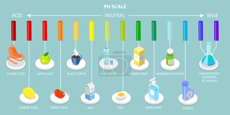 Ilustración de Ilustración conceptual plana isométrica 3D de la escala de PH, carta de acidez alimentaria - Imagen libre de derechos
