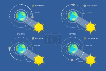 Téléchargez les illustrations : Illustration conceptuelle 3D vecteur plat isométrique des marées lunaire et solaire, astronomie et géographie Science - en licence libre de droit