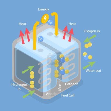 Téléchargez les illustrations : Illustration conceptuelle 3D du vecteur plat isométrique des piles à combustible à hydrogène, électricité de source H2 - en licence libre de droit