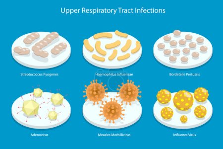Illustration for 3D Isometric Flat Vector Conceptual Illustration of Upper Respiratory Tract Infection, Types of Viruses - Royalty Free Image