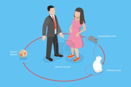 Téléchargez les illustrations : Illustration conceptuelle 3D du cycle de vie de Toxoplasma Gondii, Toxoplasmose - en licence libre de droit