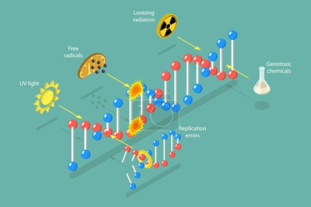Ilustración de Ilustración conceptual plana isométrica 3D del daño del ADN, proceso de envejecimiento - Imagen libre de derechos