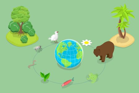 3D Isometric Flat Vector Conceptual Illustration of Ecosystem, Biodiversity and Species Variety