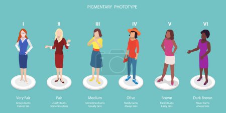 Illustration for 3D Isometric Flat Vector Conceptual Illustration of Pigmentary Phototype, Fitzpatrick Skin Tone - Royalty Free Image