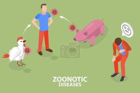 Ilustración de Ilustración conceptual vectorial plana isométrica 3D de enfermedades zoonóticas, transmisión de infecciones de animales a humanos - Imagen libre de derechos