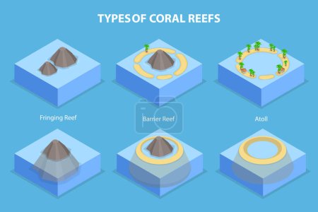 Illustration for 3D Isometric Flat Vector Illustration of Types Of Coral Reefs, Structure of Islands - Royalty Free Image