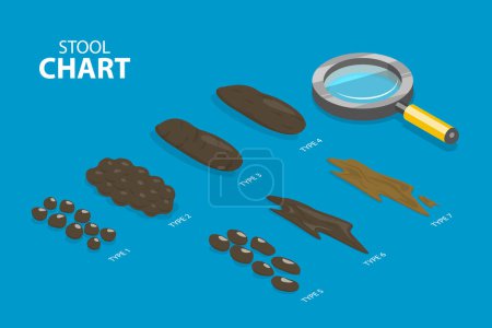Illustration for 3D Isometric Flat Vector Illustration of Bristol Stool Chart, Faeces Type Images and Description - Royalty Free Image