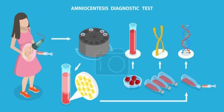 Illustration for 3D Isometric Flat Vector Illustration of Amniocentesis Diagnostic Test, DNA Gene Exam - Royalty Free Image