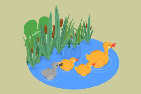 Illustration for 3D Isometric Flat Vector Illustration of Ugly Duckling Fairy Tale, Waterfowls Swimming in Pond - Royalty Free Image