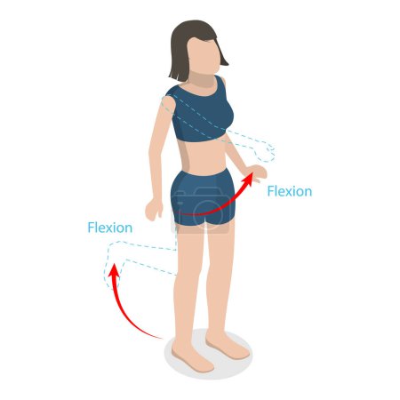 Ilustración de Ilustración plana isométrica 3D del vector de la flexión y de la extensión, movimiento del cuerpo humano. Partida 2 - Imagen libre de derechos