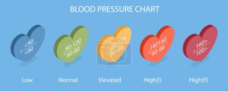 3D Isometric Flat Vector Illustration of Blood Pressure Chart, Ranges of Low, Healthy, Pre-high and High