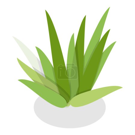 Téléchargez les illustrations : Ensemble vecteur plat 3D isométrique de plantes dans des pots, décor vert intérieur à la maison. Point 11 - en licence libre de droit