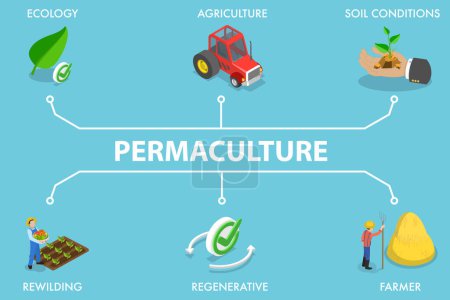 Illustration 3D vectorielle plane isométrique de la permaculture, agriculture régénérative