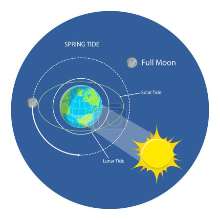 Téléchargez les illustrations : 3D Isometric Flat Vector Illustration of Lunar And Solar Tides, Astronomy and Geography Science. Point 2 - en licence libre de droit