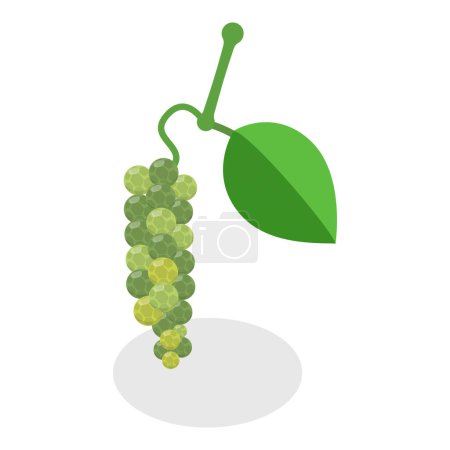 Illustration for 3D Isometric Flat Vector Set of Black Pepper , Herbal Seasoning for Cooking. Item 1 - Royalty Free Image