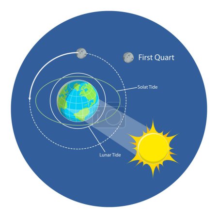 Téléchargez les illustrations : 3D Isometric Flat Vector Illustration of Lunar And Solar Tides, Astronomy and Geography Science. Point 4 - en licence libre de droit