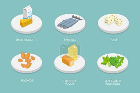 3D Isometric Flat Vector Illustration of Sources Of Calcium, Healthy Lifestyle