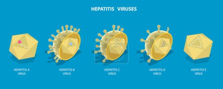 Ilustración plana isométrica 3D de los virus de la hepatitis, enfermedad hepática