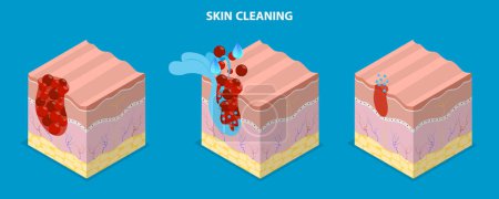 Illustration vectorielle plate 3D isométrique du nettoyage de la peau, de la dermatologie, des soins de la peau et de l'anti-vieillissement
