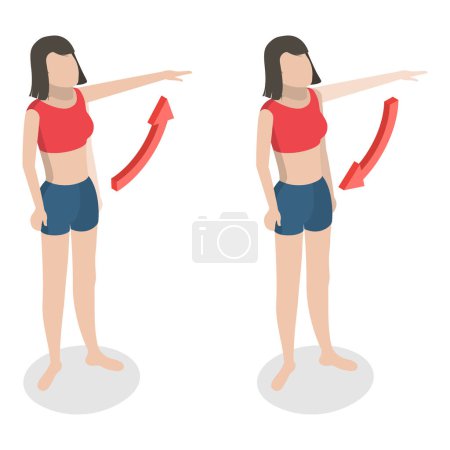 3D Isometric Flat Illustration of Muscular Motion, Abduction and Adduction Movements. Item 5