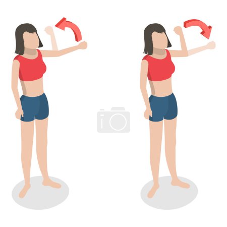 3D Isometric Flat Illustration of Muscular Motion, Abduction and Adduction Movements. Item 4