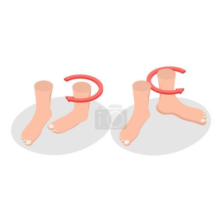 3D Isometric Flat Illustration of Muscular Motion, Abduction and Adduction Movements. Item 3