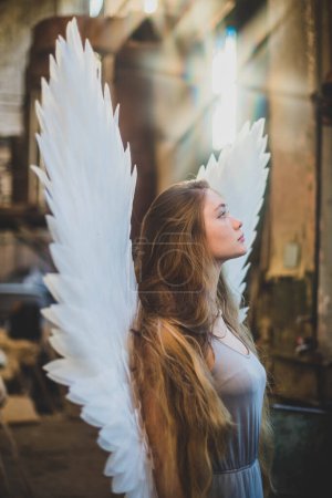 Foto de Joven chica hermosa con el pelo largo y alas blancas. El ángel mira por la ventana fascinado, buscando una salida de la habitación - Imagen libre de derechos