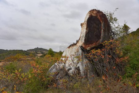 Foto de Estella, España - 30 Oct 2022: Parque de los Desvelados, una instalación de arte al aire libre con calaveras gigantes y vehículos en ruinas - Imagen libre de derechos