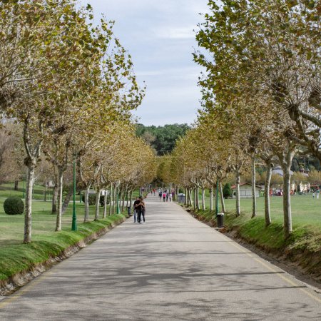 Photo for Santander, Spain - 31 Oct, 2022: Tree lined paths in rhe Peninsula de la Magdalena park, Santander, Cantabria - Royalty Free Image