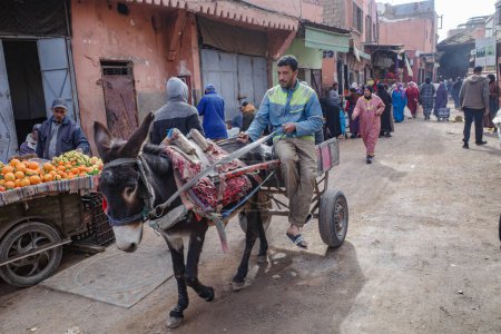 Photo for Marrakech, Morocco - Feb 10, 2023: A donkey pulls a cart through the streets of the Marrakech Medina markets - Royalty Free Image