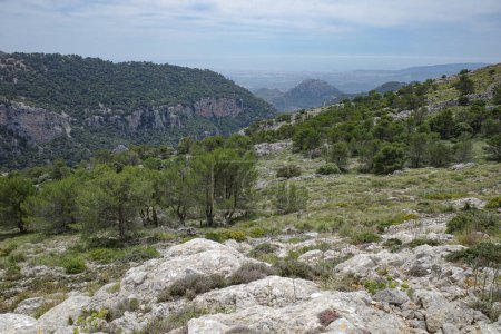 Foto de Mallorca, España - 11 de junio de 2023: Vistas al mar Mediterráneo y a las montañas Tramuntana desde Puig Caragoli, Mallorca - Imagen libre de derechos