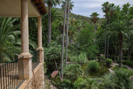 Téléchargez les photos : Majorque, Espagne - 23 Juillet, 2023 : Jardins historiques de Alfabia jardins botaniques, Majorque - en image libre de droit