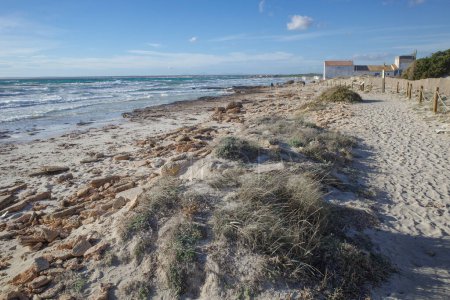 Foto de Mallorca, España - 1-nov-2023: Playa de Es Trenc - Imagen libre de derechos