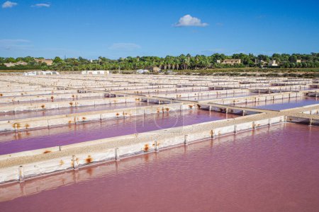 Mallorca, Spanien - 1. November 2023: Natürliche Salzgewinnung in den Salines des Trenc
