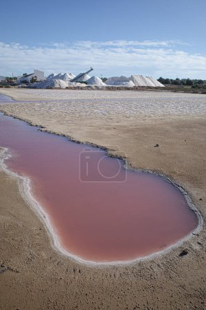 Foto de Mallorca, España - Nov 1 2023: Recolección natural de sal en las Salinas des Trenc - Imagen libre de derechos