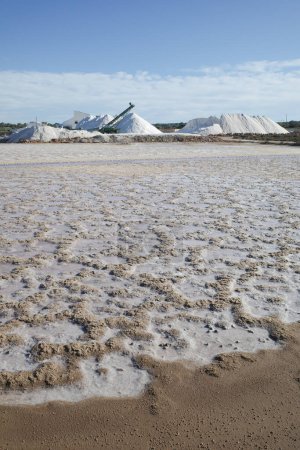 Foto de Mallorca, España - Nov 1 2023: Recolección natural de sal en las Salinas des Trenc - Imagen libre de derechos