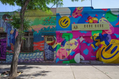 Téléchargez les photos : Santiago, Chili - 26 Nov, 2023 : Street art dans le quartier bohème Bellavista de Santiago - en image libre de droit