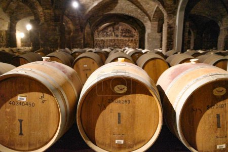 Foto de Santiago, Chile - 25 Nov, 2023: Botellas de vino y barricas almacenadas en los históricos viñedos de Santa Rita - Imagen libre de derechos