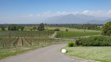 Santiago, Chile - 25 Nov, 2023: Viñedo y bodega Haras de Pirque, cerca de Santiago, Chile