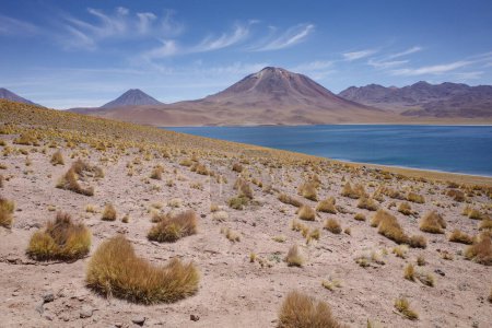 San Pedro de Atacama, Chile - Dec 1, 2023: Laguna Miscanti landscapes in the Atacama Desert