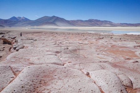 San Pedro de Atacama, Chile - Dec 1, 2023: Landscapes of the Salar de Piedras Rojas in the Atacama Desert