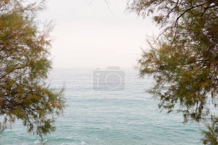 Photo for Landscapes and details of the Coast Brave (Costa Brava) in Girona (Spain) - Royalty Free Image