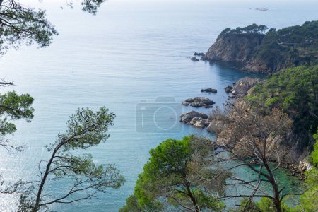 Téléchargez les photos : Paysages et détails de la Côte Brave (Costa Brava) à Gérone (Espagne)
) - en image libre de droit