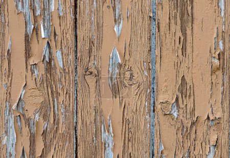 Photo for Detail of a door with peeling paint - Royalty Free Image
