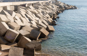 Guardians of the Coastline: Capturing the Power and Beauty of a Breakwater puzzle #654808834