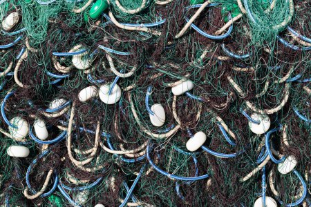 Photo for Eclipsed Harvest: Navigating the Abyss of Overfishing and Limited Resources - Royalty Free Image