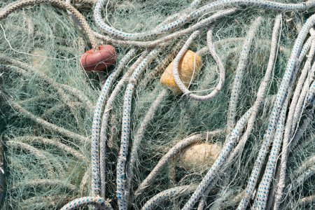 Foto de Cosecha eclipsada: Navegando por el abismo de la sobrepesca y los recursos limitados - Imagen libre de derechos