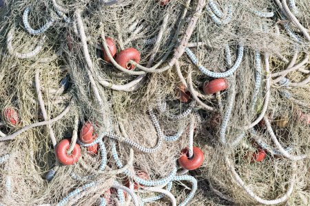 Photo for Eclipsed Harvest: Navigating the Abyss of Overfishing and Limited Resources - Royalty Free Image