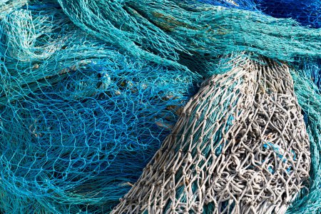 Cosecha eclipsada: Navegando por el abismo de la sobrepesca y los recursos limitados